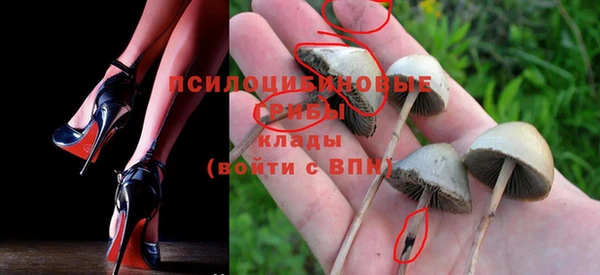 амф Нефтекумск